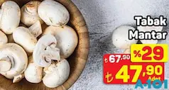 TABAK MANTAR ADET fiyat ve kampanya bilgisi